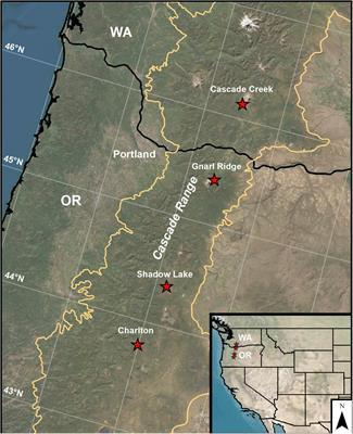 Interactions Between Fire Refugia and Climate-Environment Conditions Determine Mesic Subalpine Forest Recovery After Large and Severe Wildfires